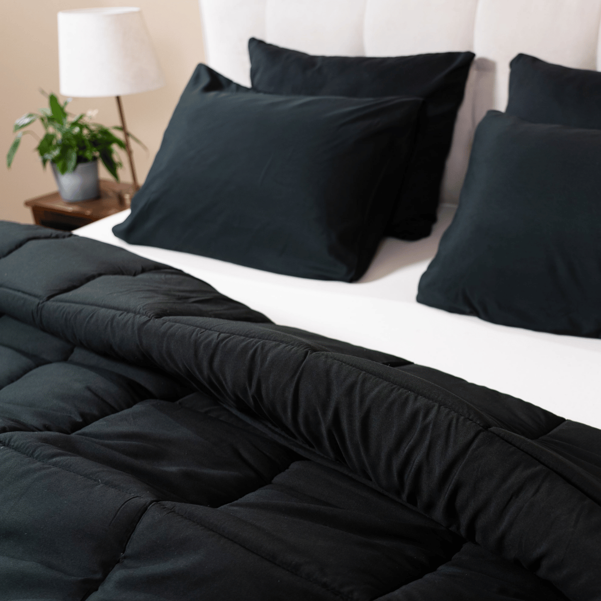 Zelesta Comfort Uni Pillowcase Set Of 2 - Black