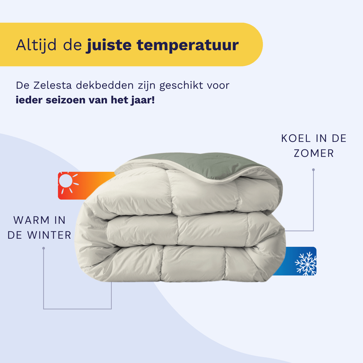 Zelesta Royalbed - Green & Cream
