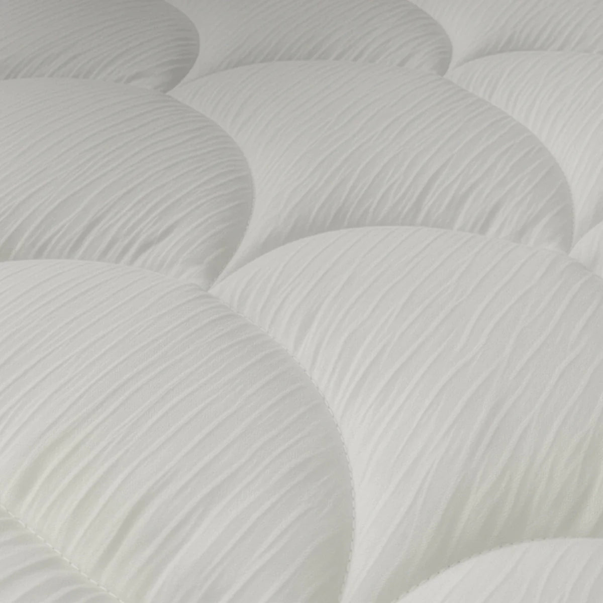 Zelesta Special Velvet Chic Duvet - Beige